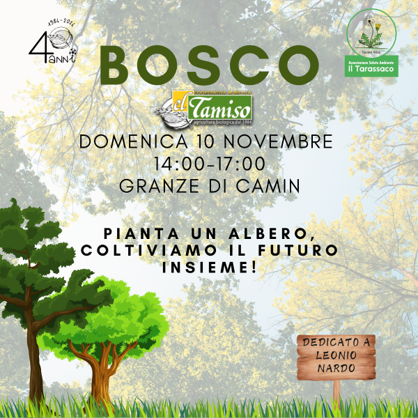 IL BOSCO DE "EL TAMISO"